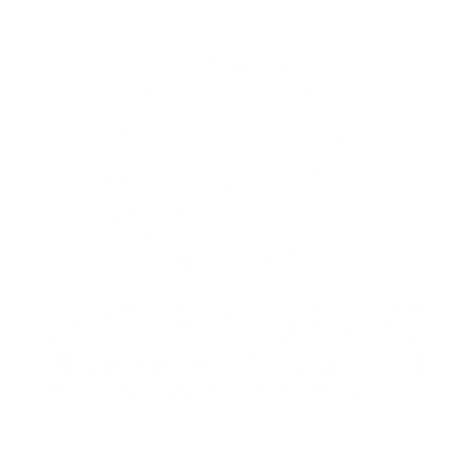 Oceanic International Businesses